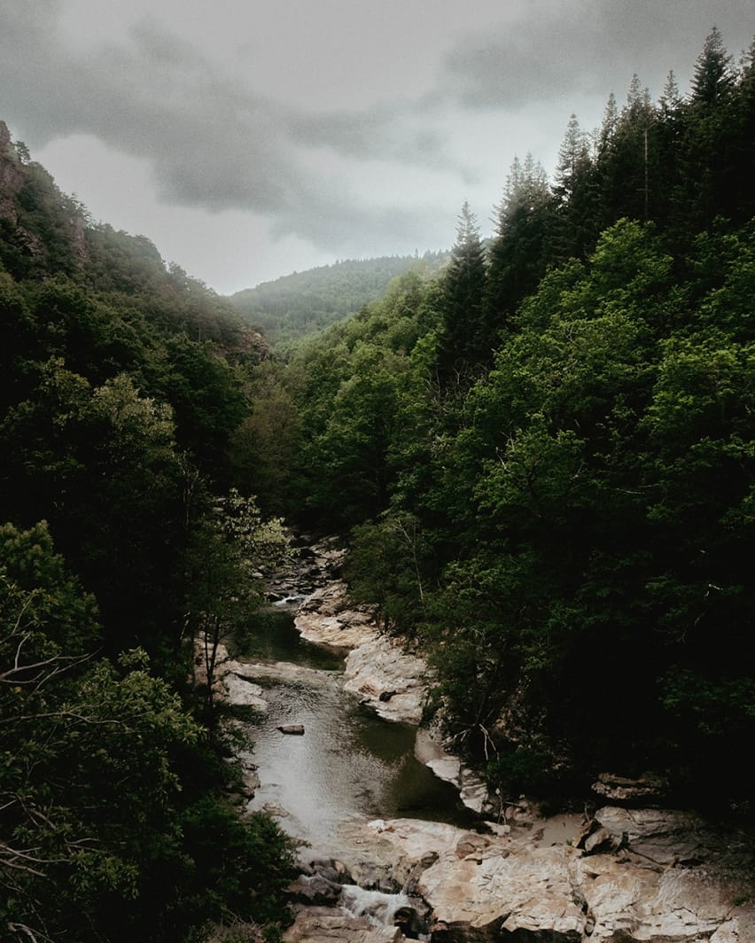 lorem ipsum dolor sit amet consectur faciant
